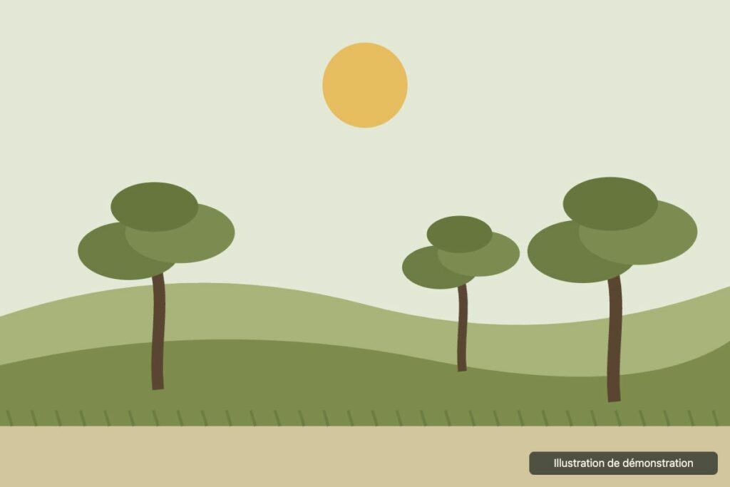 Réalisation 1, Jardin, débroussaillement et élagage