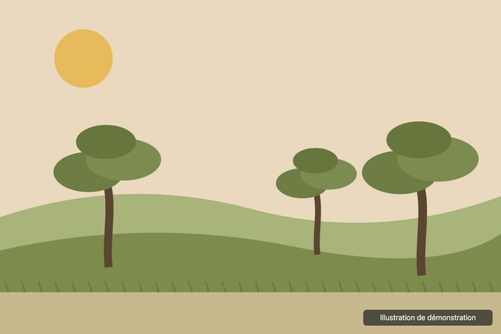 Réalisation 1, Jardin, débroussaillement et élagage
