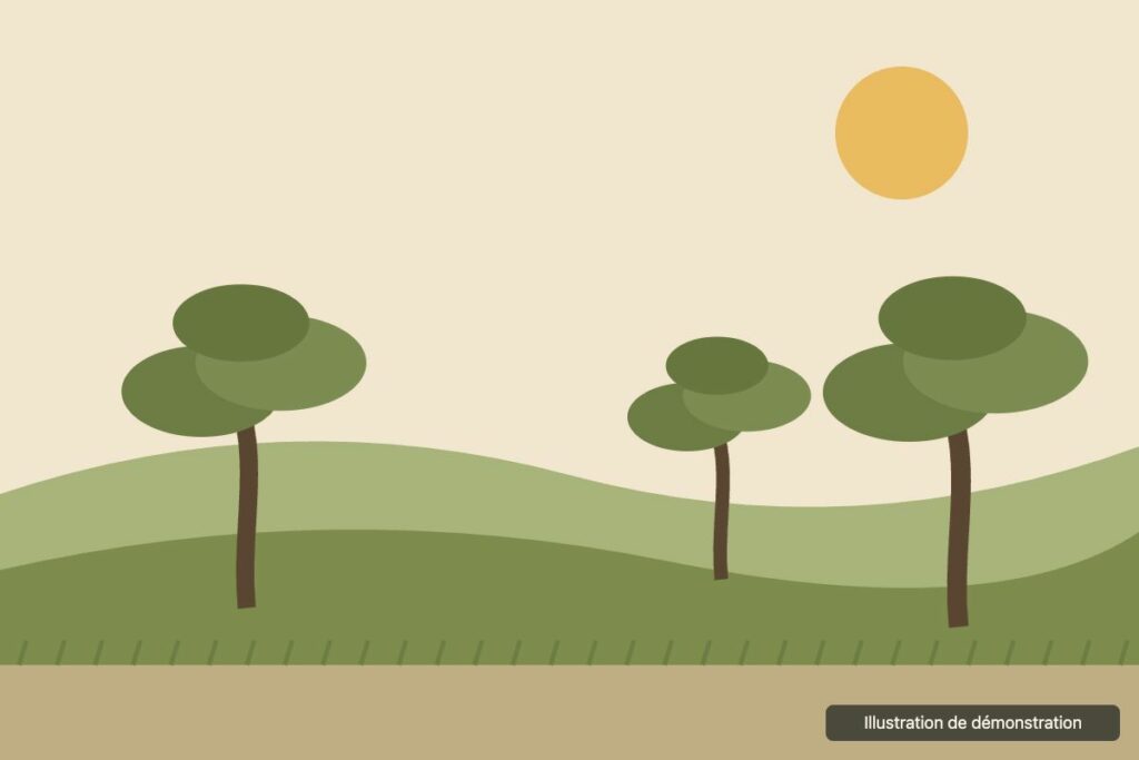 Réalisation 1, Jardin, débroussaillement et élagage